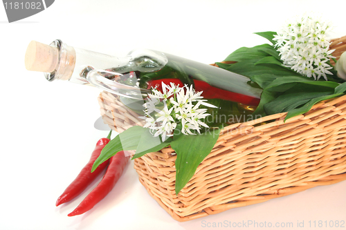 Image of Wild garlic oil