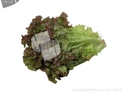Image of Lettuce