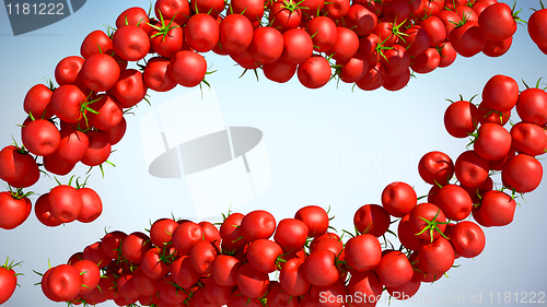 Image of Tasty Tomatoe Cherry flows