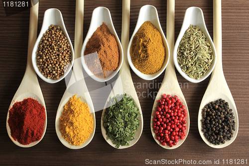 Image of Spices and herbs
