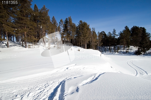Image of Winter landscape in the forest