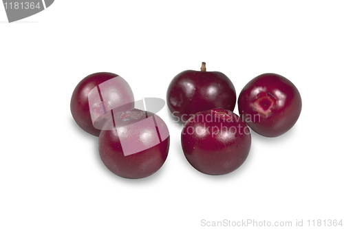 Image of Berry cranberries