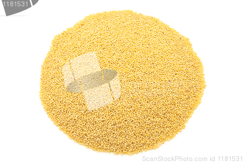 Image of yellow millet close up isolated