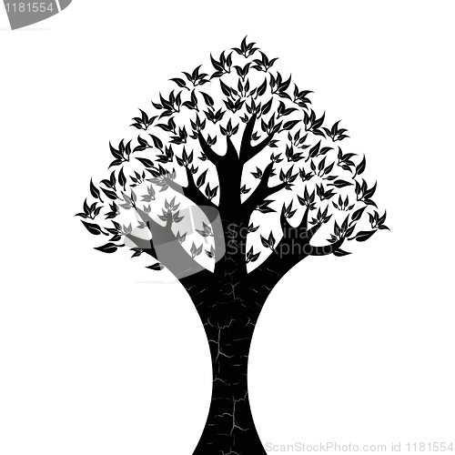 Image of Tree