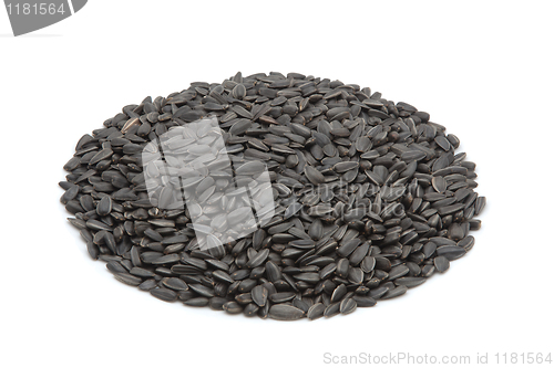 Image of sunflower seeds isolated