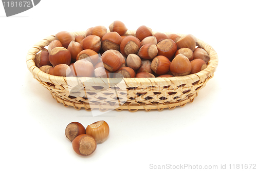 Image of Filbert in a basket are isolated