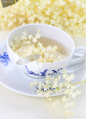 Image of Elder flower tea