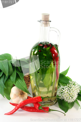 Image of Wild garlic oil