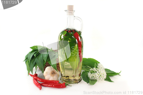 Image of Wild garlic oil