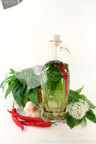 Image of Wild garlic oil