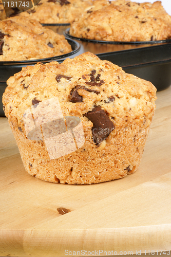 Image of Pine nuts and chocolate muffin