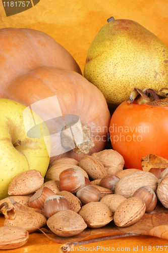 Image of Autumn fruits