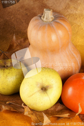 Image of Autumn fruits