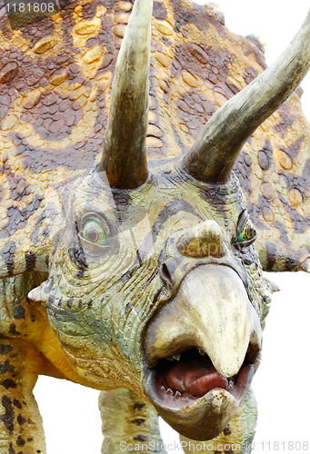 Image of Triceratops portrait