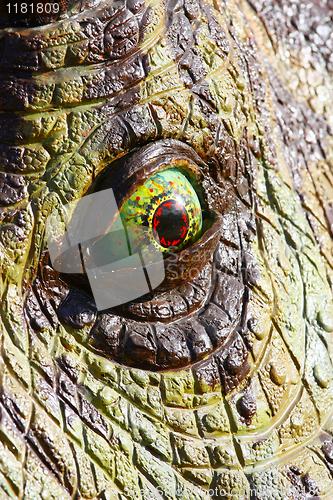 Image of Dinosaur eye