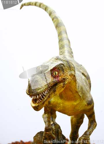 Image of Ornitholestes dinosaur on white