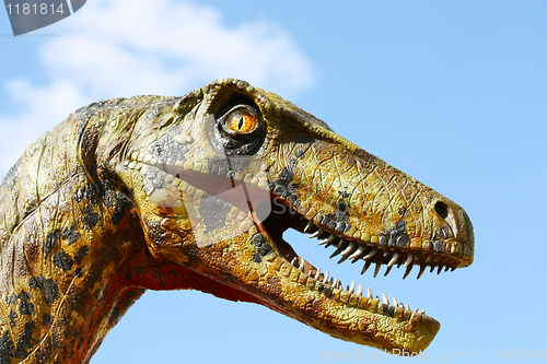 Image of Deinonychus dinosaur head 