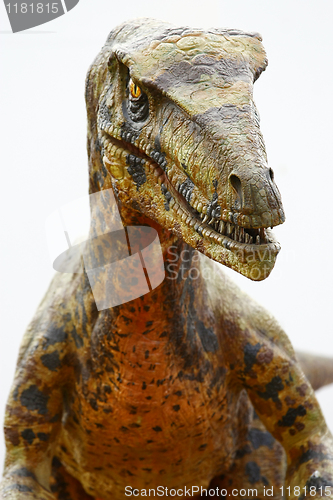 Image of Deinonychus dinosaur 