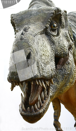 Image of Dinosaur Tyrannosaurus rex on white