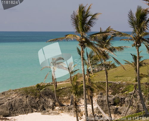 Image of Coast of Bermuda