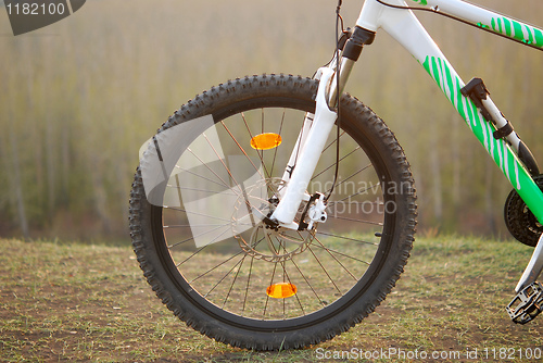 Image of Bicycle wheel