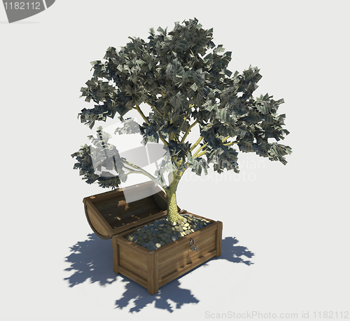 Image of money tree 