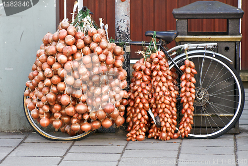 Image of Onion Bicycle