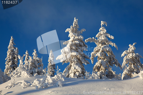 Image of Winter landscape in mountains