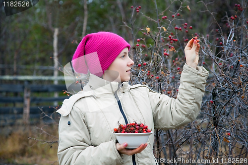Image of A girl collects briar