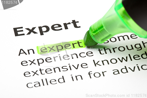 Image of 'Expert' highlighted in green