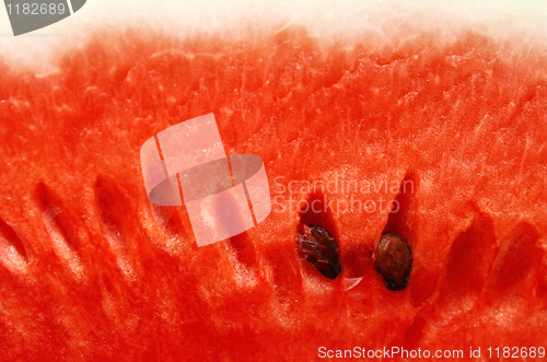 Image of watermelon close up background