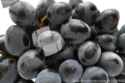 Image of close-up of grapes cluster 