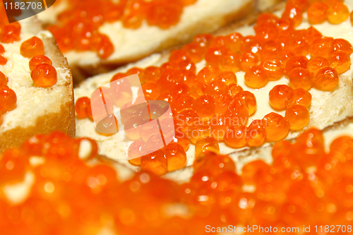 Image of red caviare sandwich