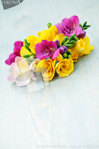 Image of freesia flowers