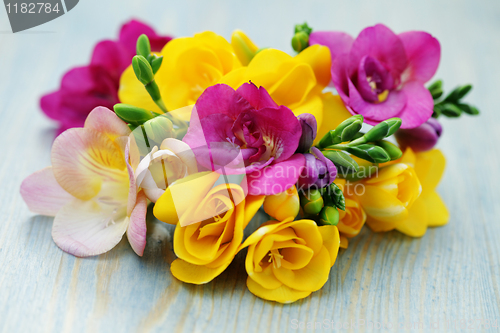 Image of freesia flowers