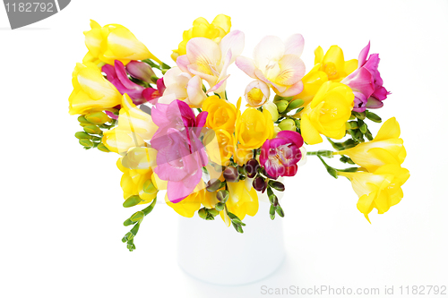 Image of freesia flowers