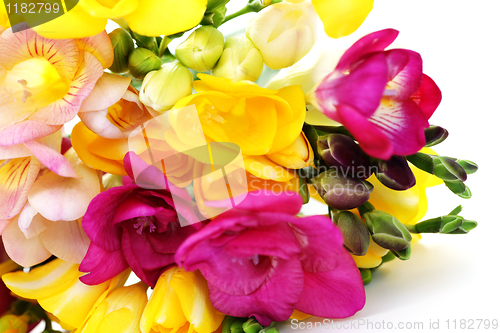 Image of freesia flowers