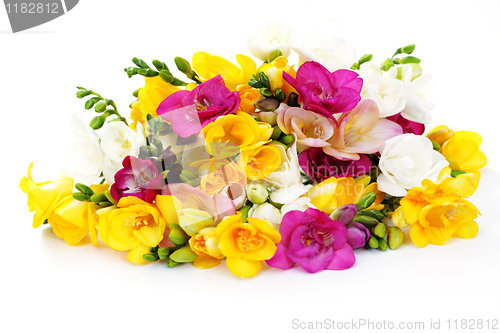 Image of freesia flowers
