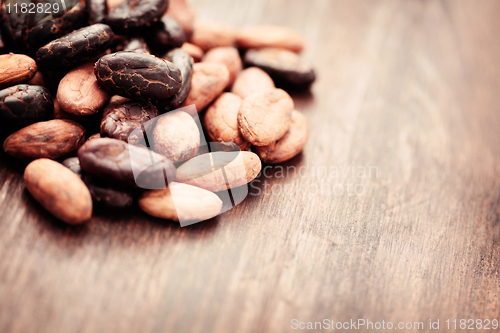 Image of cocoa beans