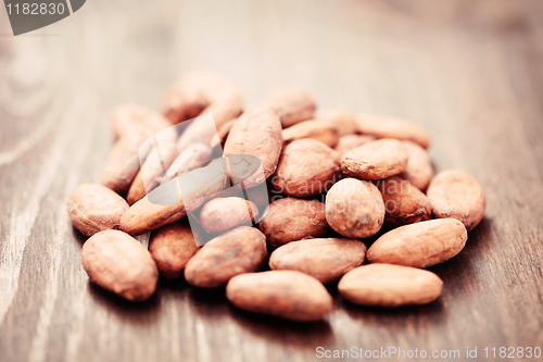 Image of cocoa beans