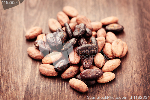 Image of cocoa beans
