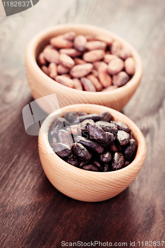 Image of cocoa beans