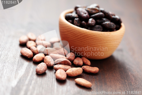 Image of cocoa beans
