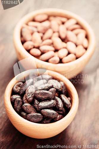 Image of cocoa beans