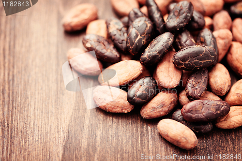 Image of cocoa beans