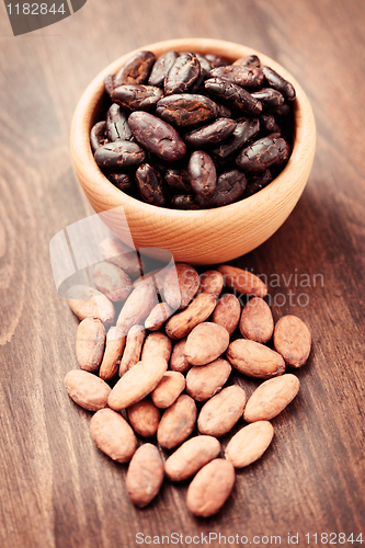 Image of cocoa beans