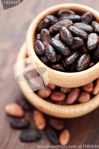Image of cocoa beans