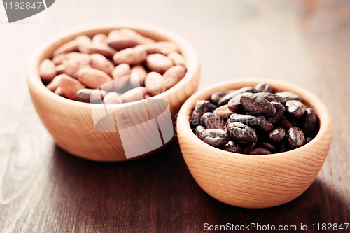 Image of cocoa beans