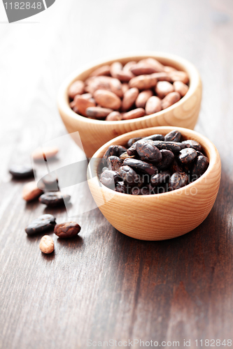 Image of cocoa beans