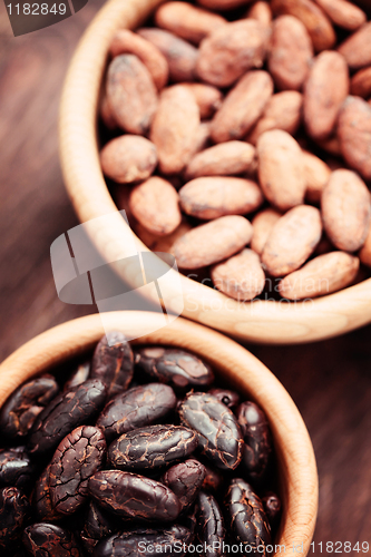 Image of cocoa beans